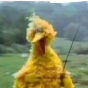 Meet your Posher, Skeet